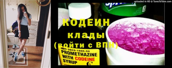дурь Магас