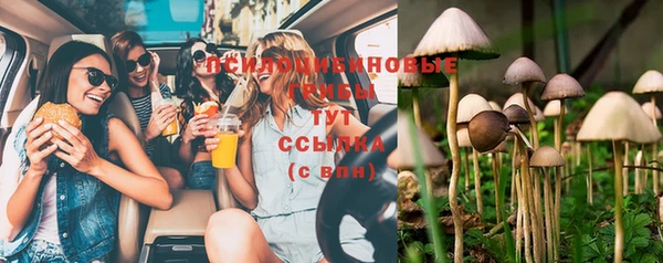 PSILOCYBIN Магадан