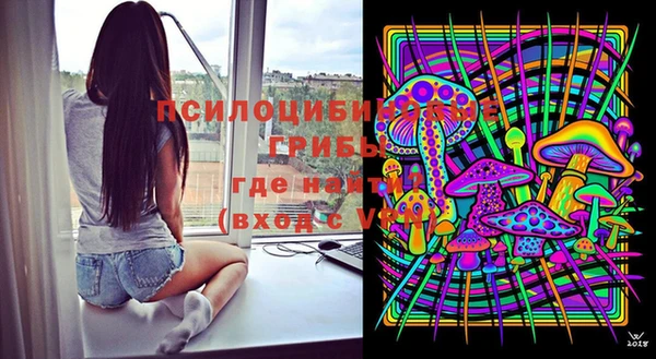 дурь Магас