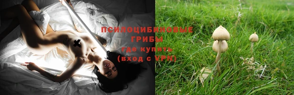 PSILOCYBIN Магадан
