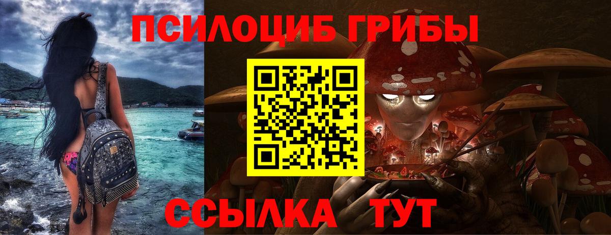 как найти   Псилоцибиновые грибы Magic Shrooms  Вход с VPN  Псилоцибиновые грибы Cubensis  Череповец 