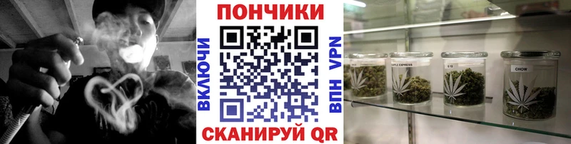 Бошки марихуана марихуана  Череповец 